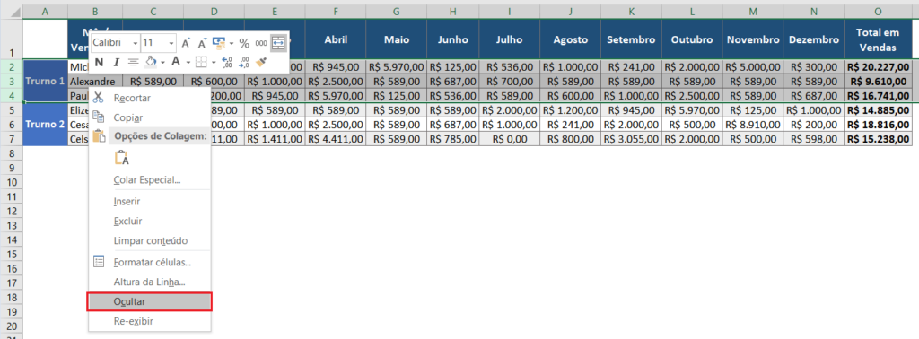 Como Ocultar Linhas e Colunas no Excel - Excel Easy