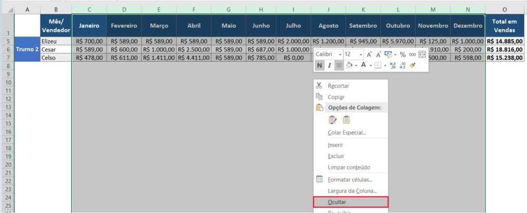 Como Ocultar Linhas E Colunas No Excel Excel Easy 7294