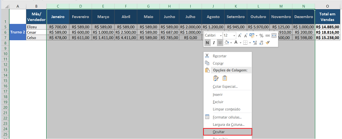 Como Ocultar Colunas no Excel