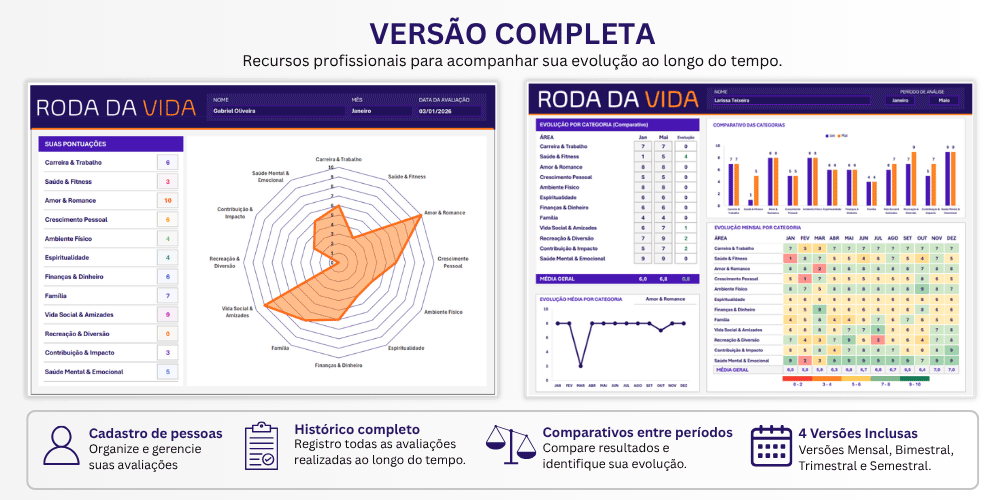 Teste Roda da Vida no Excel Editável