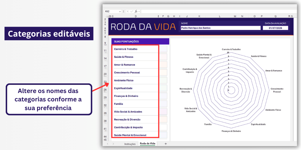 Modelo roda da vida 12 áreas editáveis no Excel